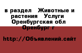  в раздел : Животные и растения » Услуги . Оренбургская обл.,Оренбург г.